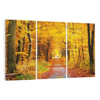 Obraz na płótnie 120x80 - Jesień w lesie - las, drzewa