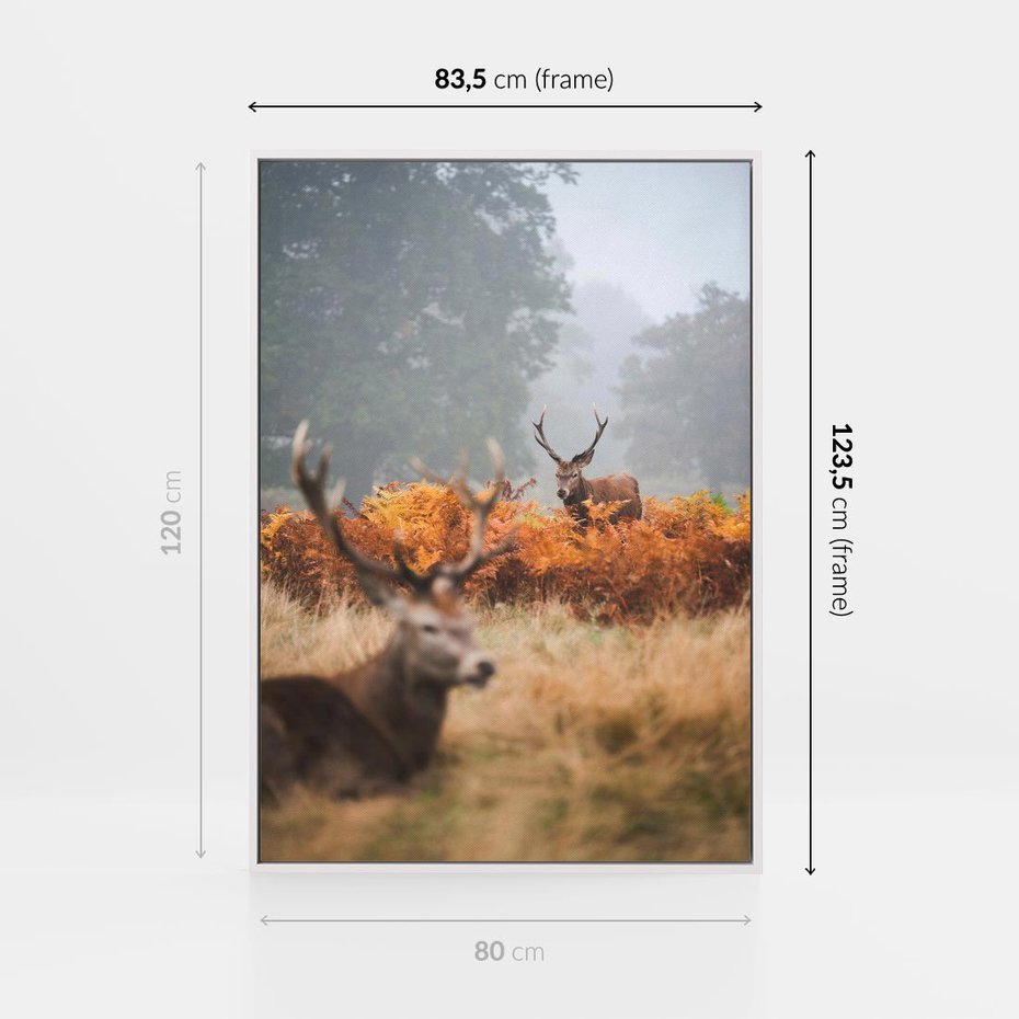 Obraz w ramie 80x120 - Malownicza Harmonia - jelenie, jesień - rama biała