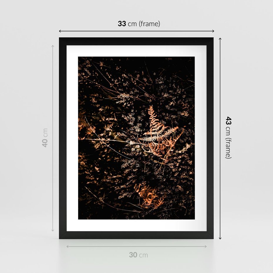 Plakat w ramie 30x40 - Jesienna Melodia - suche trawy, paprocie - rama czarna