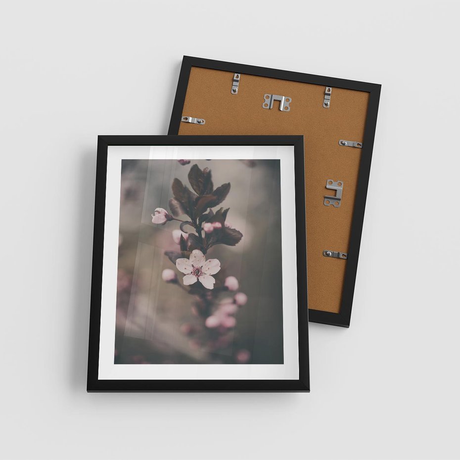 Plakat w ramie 40x50 - Przemijający Urok - kwitnąca, wiśnia - rama czarna