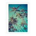 Plakat bez ramy 40x50 - Tropikalne palmy w krainie słonecznych wakacji - palmy, tropiki