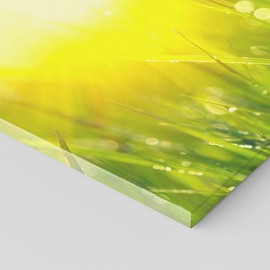 Obraz na płótnie 100x70 - Piękno Poranka - łąka, trawa