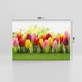 Obraz na płótnie 120x80 - delikatność kwiatowego świata - tulipany, kwiaty