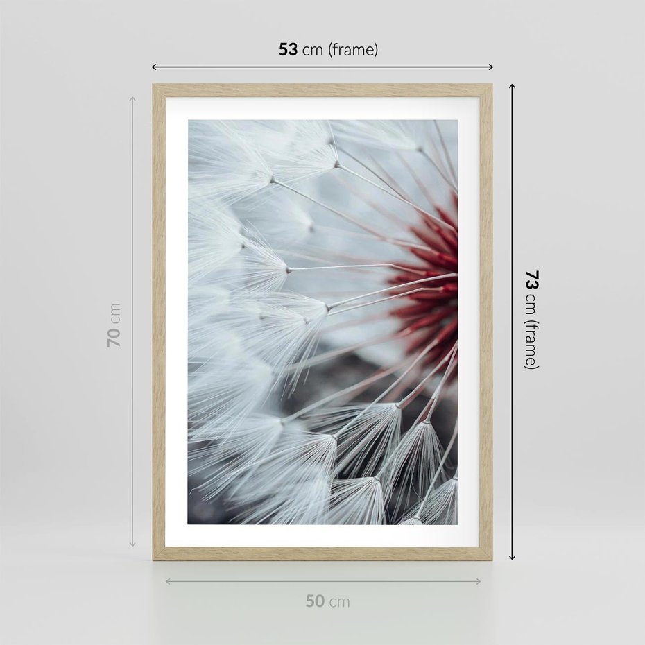 Plakat w ramie 50x70 - Makro Magii Natury - dmuchawiec, zbliżenie makro - rama drewno