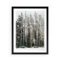 Plakat w ramie 50x70 - Sypiący Śnieg - las w zimie, drzewa pod śniegiem - rama czarna