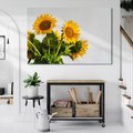 Obraz na płótnie 100x70 - Słoneczna Radość - fotografia, żółte słoneczniki