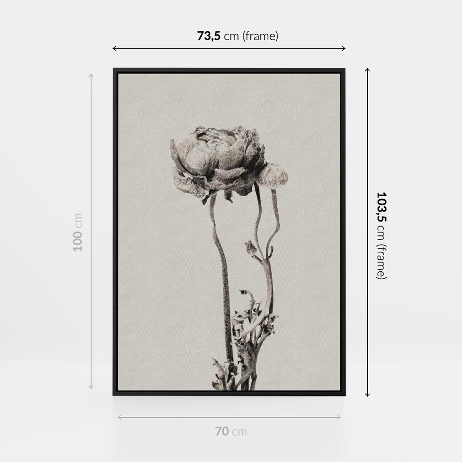 Obraz w ramie 70x100 - Kwiatowa Symfonia w Szarościach - czarno biała odbitka, jak fotografia - rama czarna