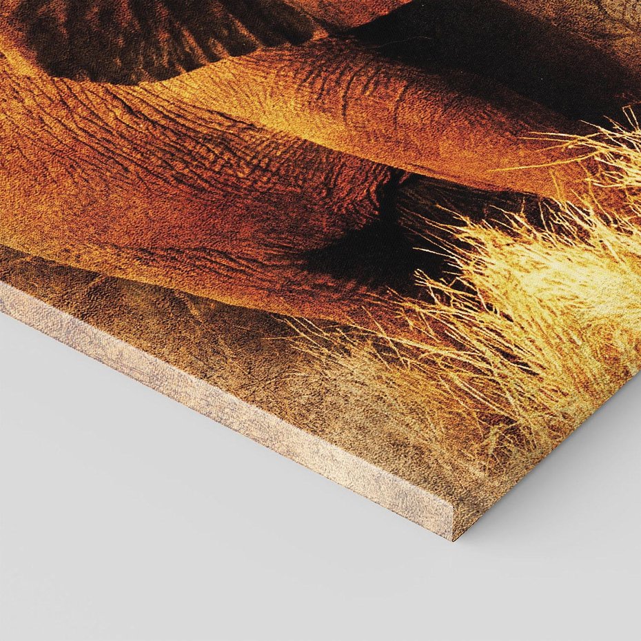 Obraz na płótnie 100x70 - Sztuka abstrakcyjna: Słoń - słoń, sztuka