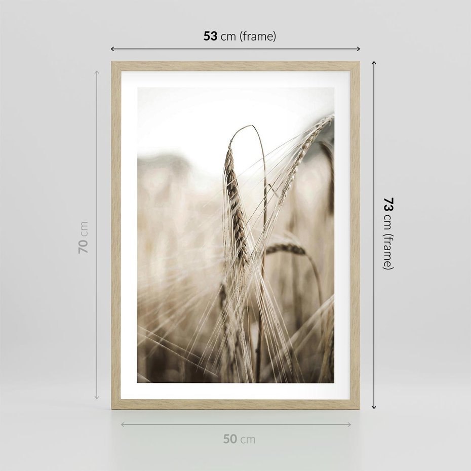 Plakat w ramie 50x70 - Kłosy Pszenicy w Sepii - zboże, kłos pszenicy - rama drewno