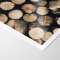 Plakat bez ramy 40x50 - Siła Drewna - ścięte drewno, belki drewna ułożone jedna na drugiej