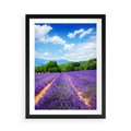 Plakat w ramie 50x70 - Prowansalska Lawenda - lawenda, prowansja - rama czarna