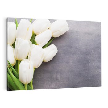 Obraz na płótnie 70x50 - Tulipanowa Kolorystyka - tulipany, kwiaty