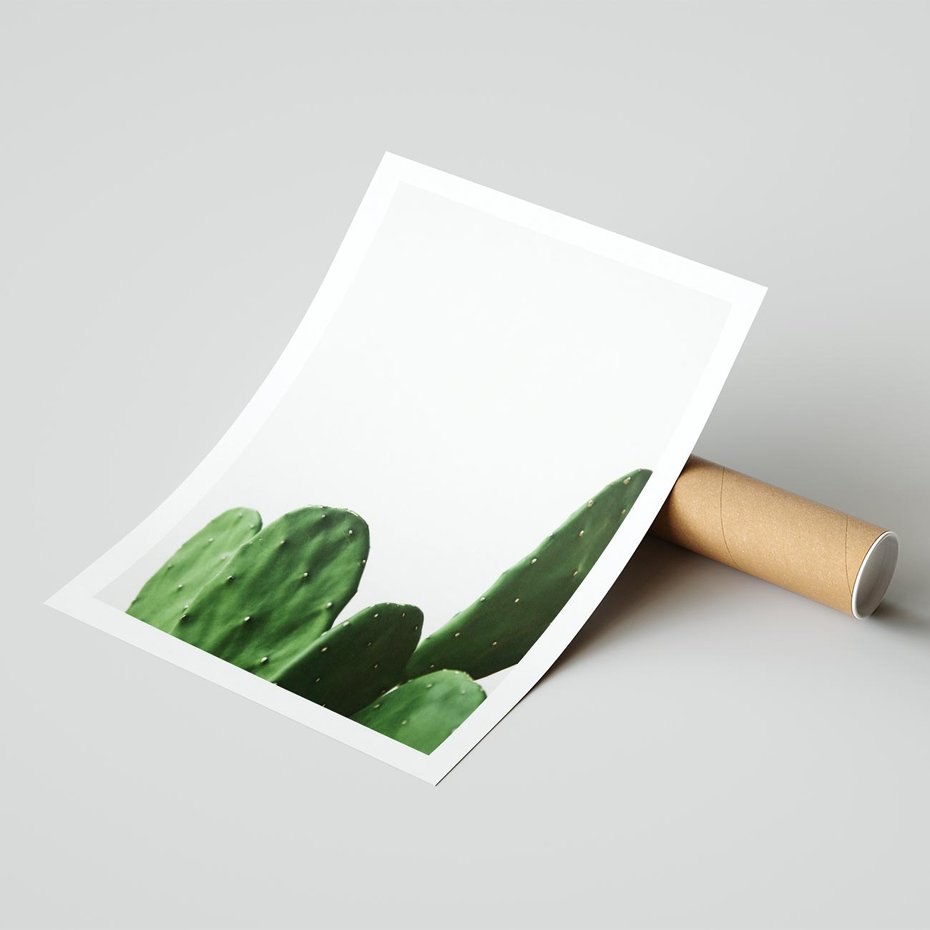 Plakat bez ramy 50x70 - Minimalizm Natury - kaktus, zbliżenie