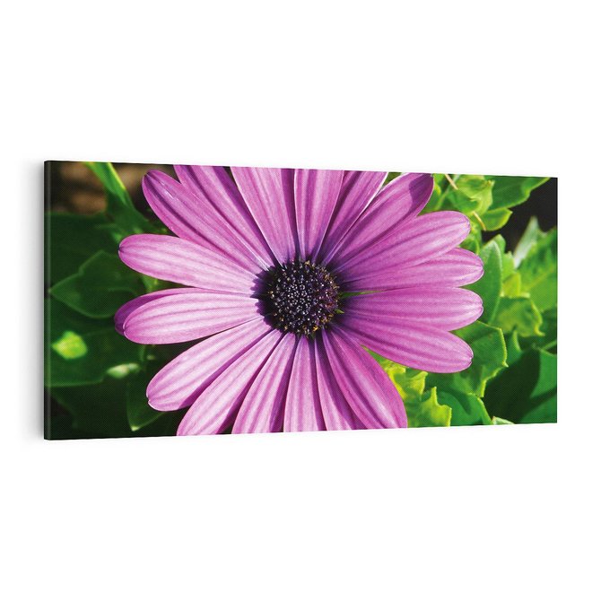 Obraz na płótnie 100x50 - Kwiatowy Dotyk - kwiat, kwiaty