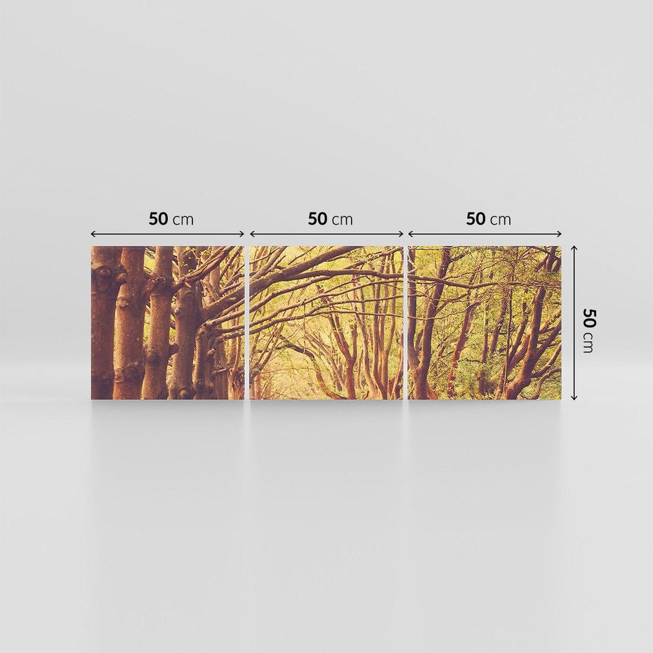 Obraz na płótnie 150x50 - Wędrówka między drzewami - droga, drzewa