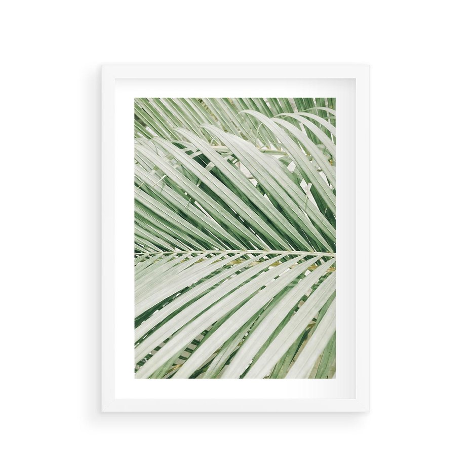 Plakat w ramie 30x40 - Liście Palmy: Egzotyczna Grafika - palma, liście palmy - rama biała