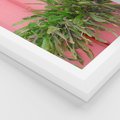 Plakat w ramie 30x40 - Fotografia Rośliny z Różowym Tłem - fotografia, zielona roślina na tle różwj ściany - rama biała