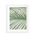 Plakat w ramie 40x50 - Liście Palmy: Egzotyczna Grafika - palma, liście palmy - rama biała