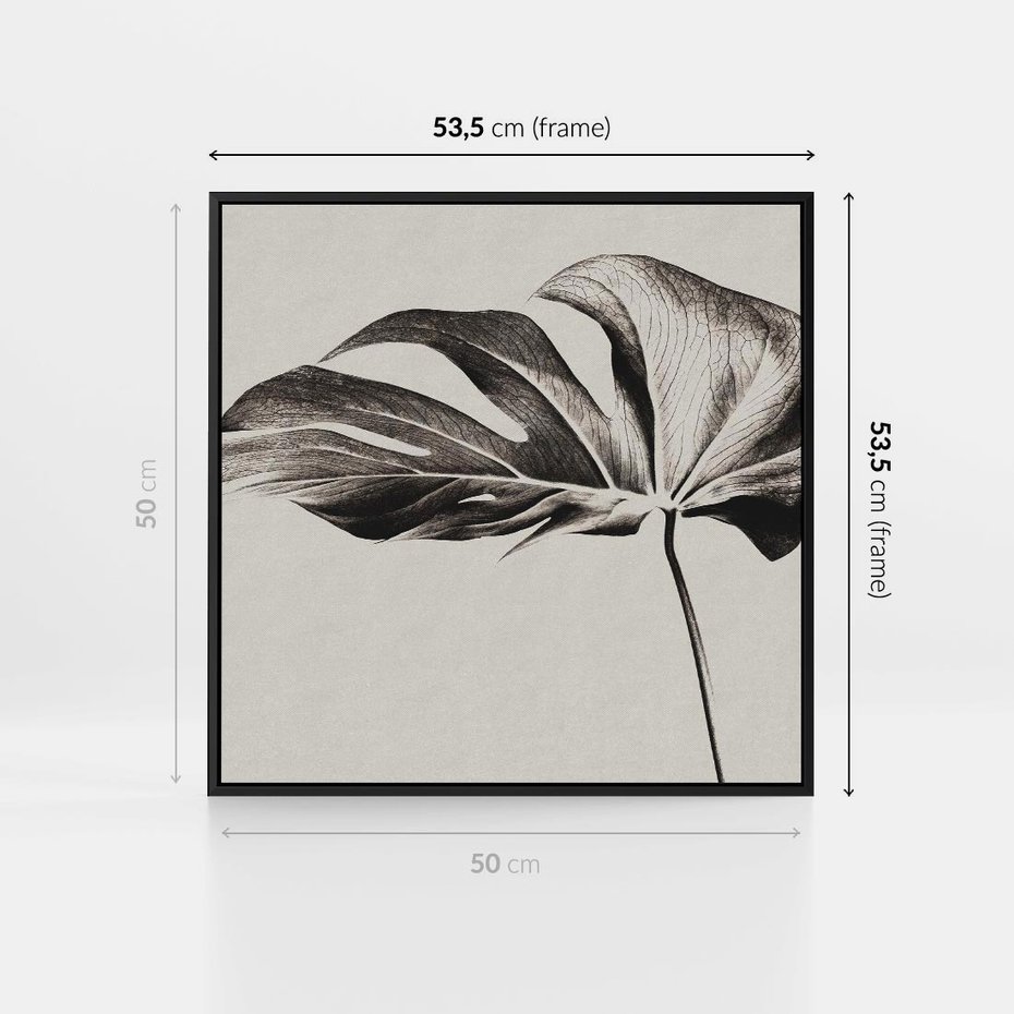 Obraz w ramie 50x50 - Szepczący Liść - szkic, czarno biały - rama czarna