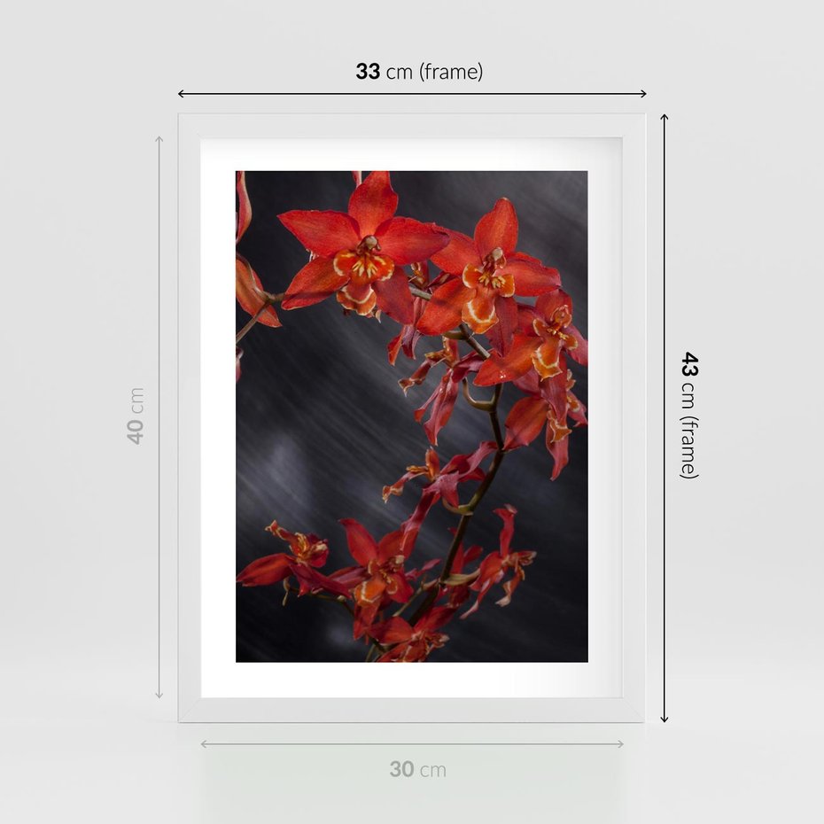 Plakat w ramie 30x40 - Kolorowy Raj - kwiaty, tropikalne - rama biała