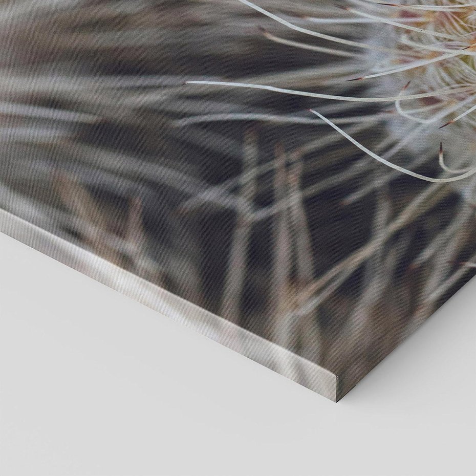 Obraz na płótnie 70x50 - Ulotna Piękność Natury - makro, dmuchawce