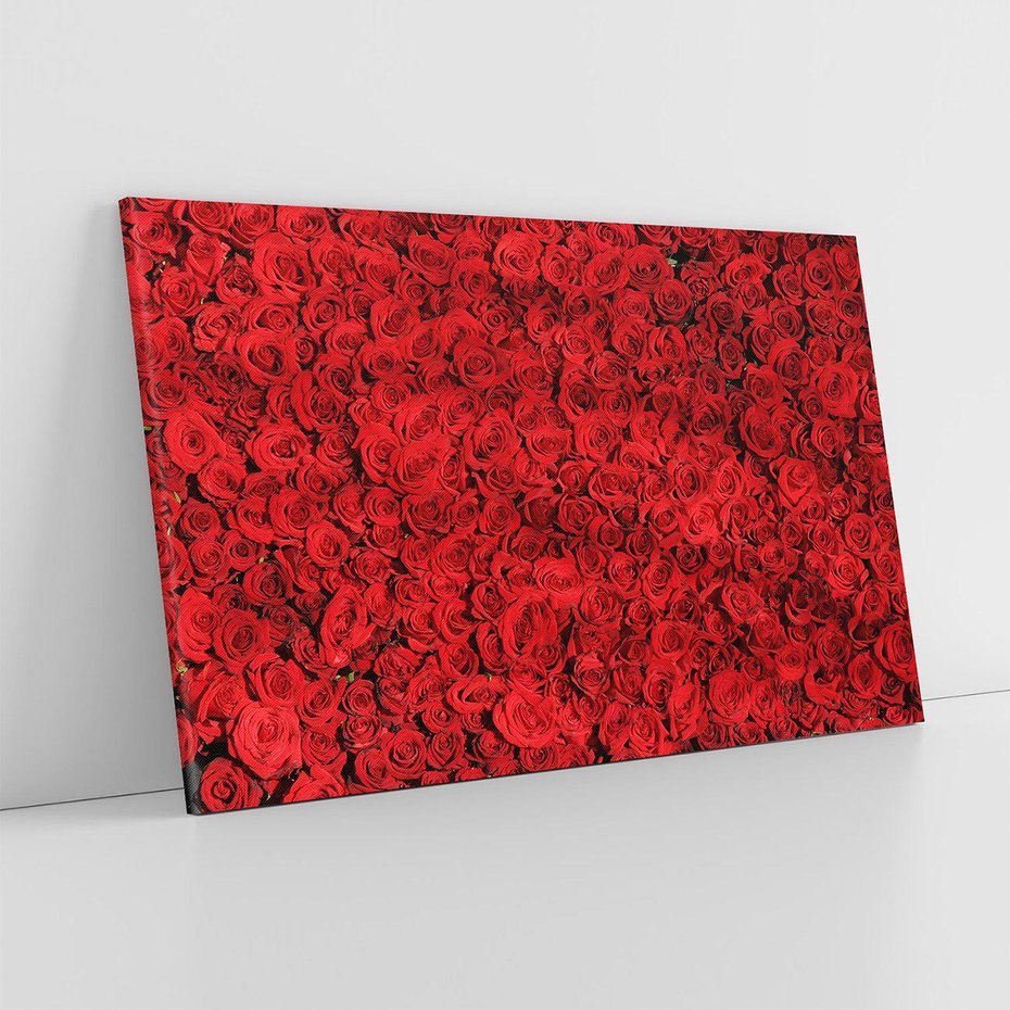 Obraz na płótnie 120x80 - Czerwona Pasja - czerwone, róże