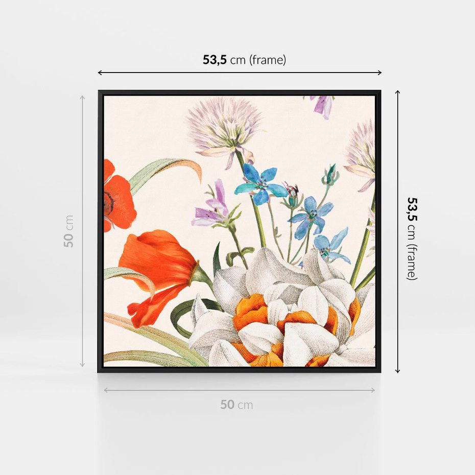 Obraz w ramie 50x50 - Polne Kwiaty - polne kwiaty, na białym tle - rama czarna