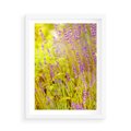 Plakat w ramie 50x70 - Delikatność natury - lawenda, kwiaty - rama biała