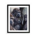Plakat w ramie 40x50 - Małpy w ich naturalnym środowisku - małpy, szympansy - rama czarna