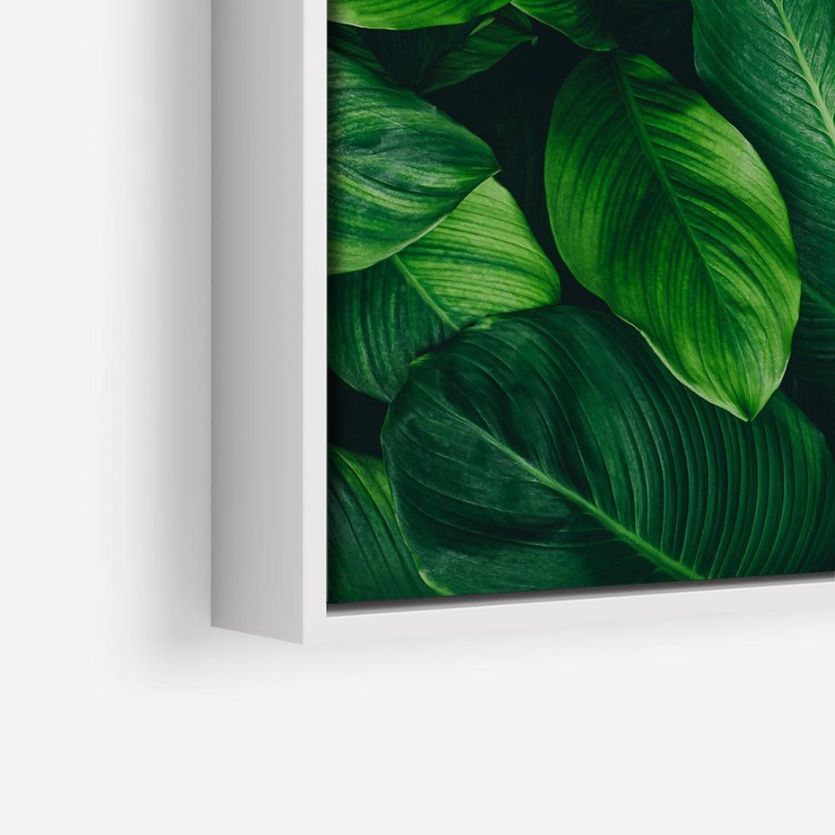 Obraz w ramie 80x80 - Palma Liście Kwiat - palma, liście - rama biała