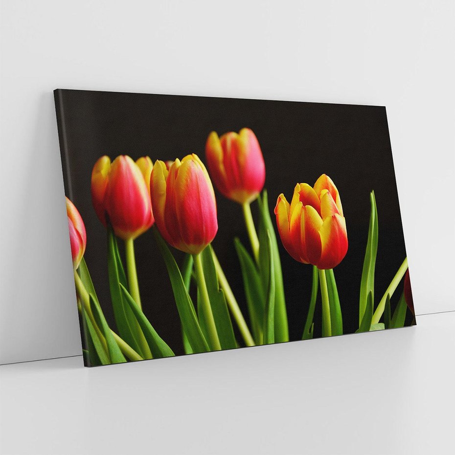 Obraz na płótnie 120x80 - Tulipany w przyrodzie: harmonia kształtów - tulipany, kiwaty