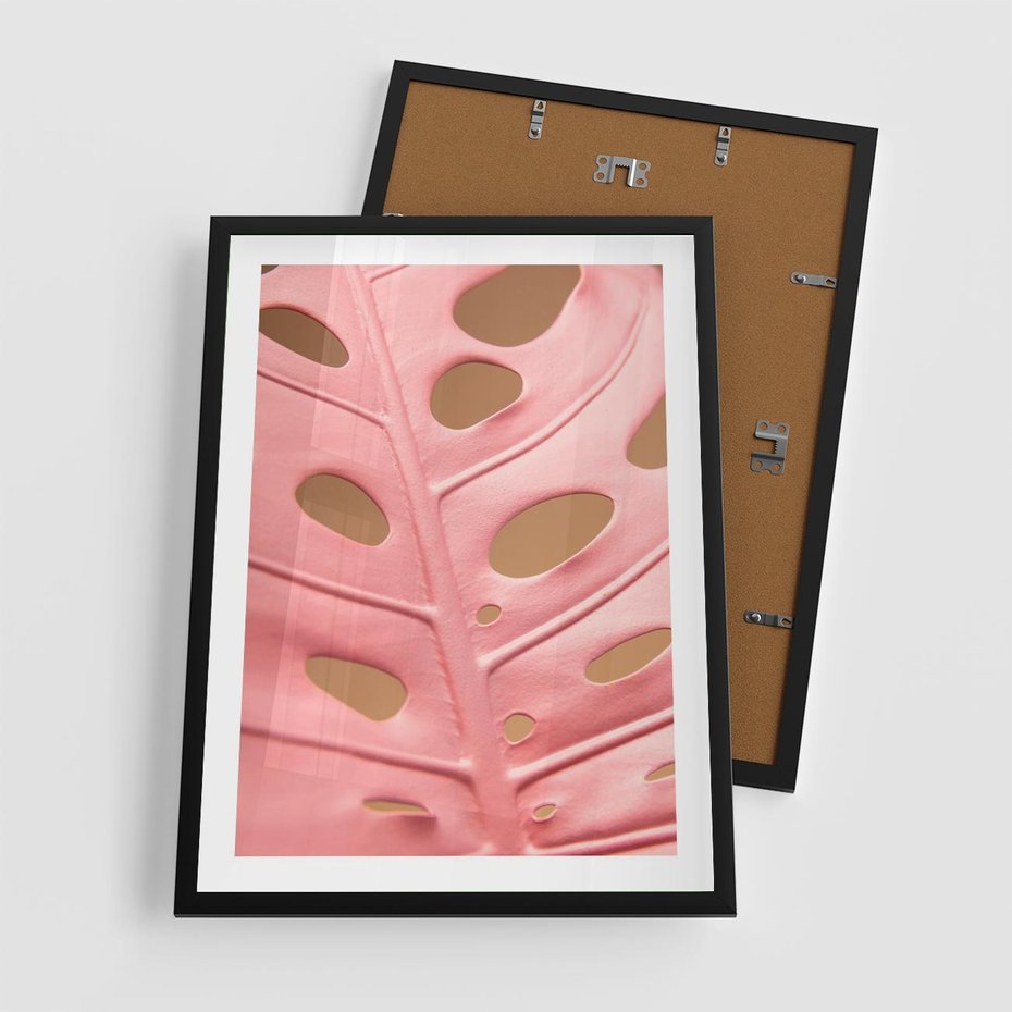 Plakat w ramie 50x70 - Różowy Liść Monstery - różowy liść monstery, nowoczesna fotografia - rama czarna