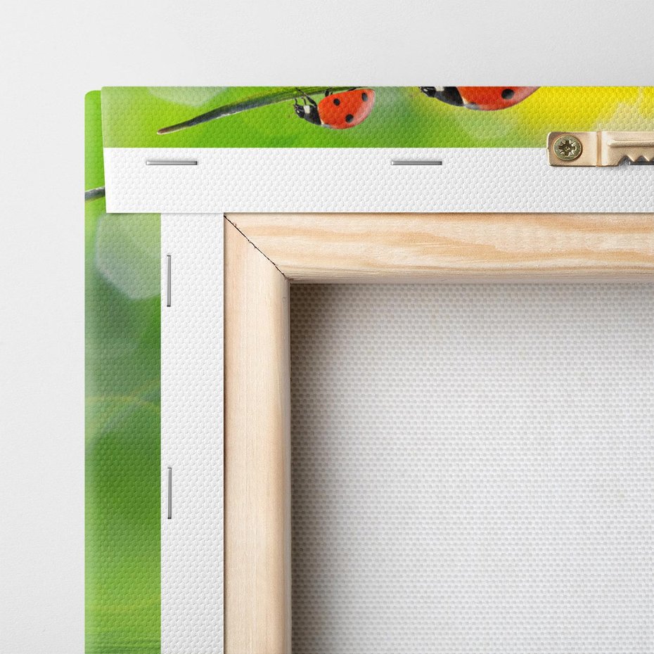 Obraz na płótnie 30x30 - Deszczowa Biedronka - biedronka, deszcz