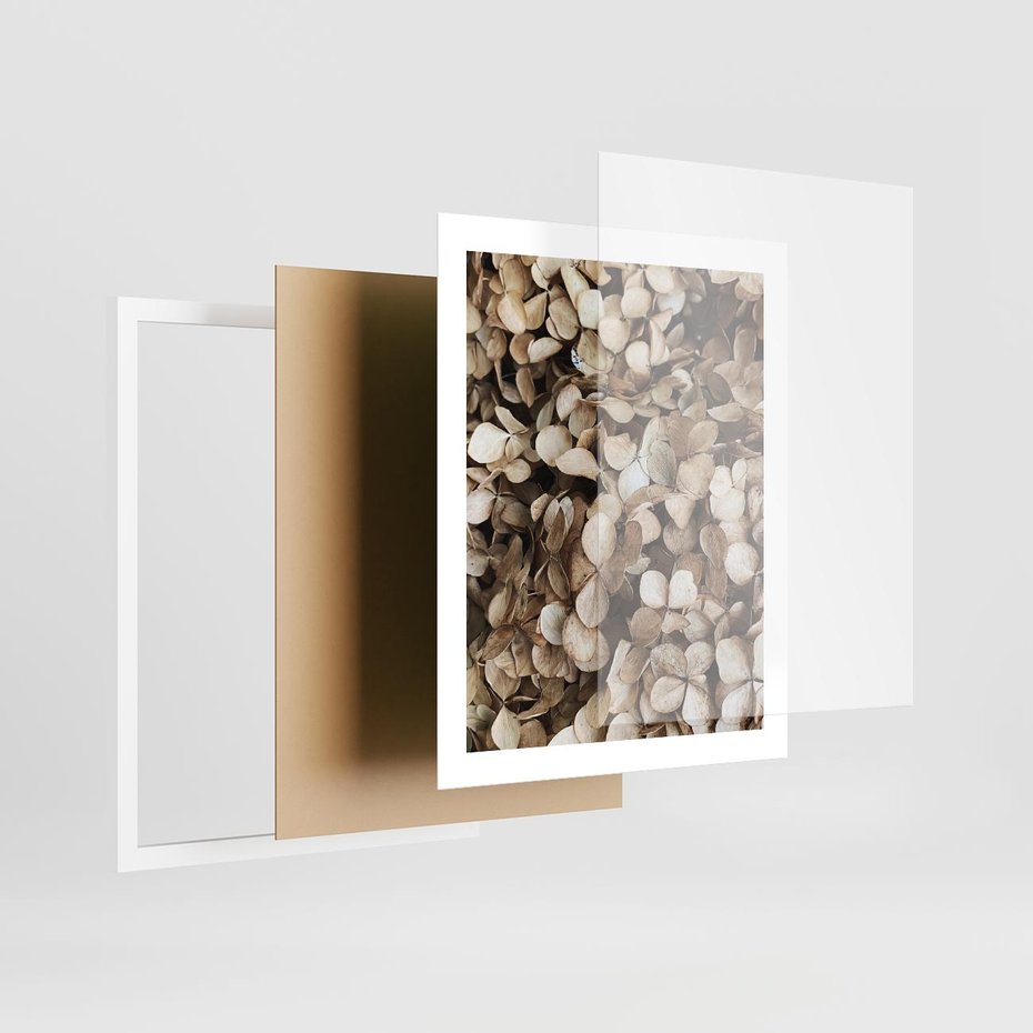 Plakat w ramie 40x50 - Delikatność Hortensji: Kompozycja Kwiatów w Beżu - hortensja, odcienie beżu - rama biała