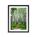 Plakat w ramie 30x40 - Bajkowy las pełen brzóz - las, brzozy - rama czarna
