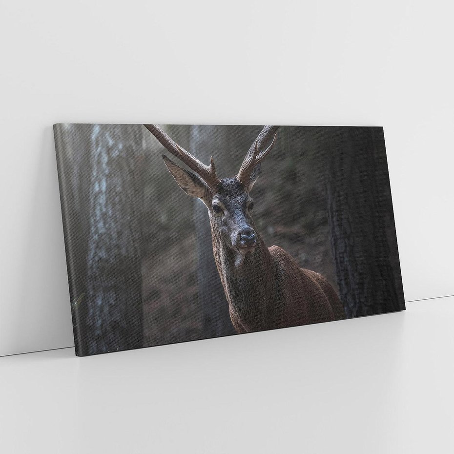 Obraz na płótnie 100x50 - Jeleń wśród lasu - jeleń, las