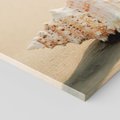 Obraz na płótnie 120x60 - Urok plażowej muszelki - fotografia, muszla na plaży