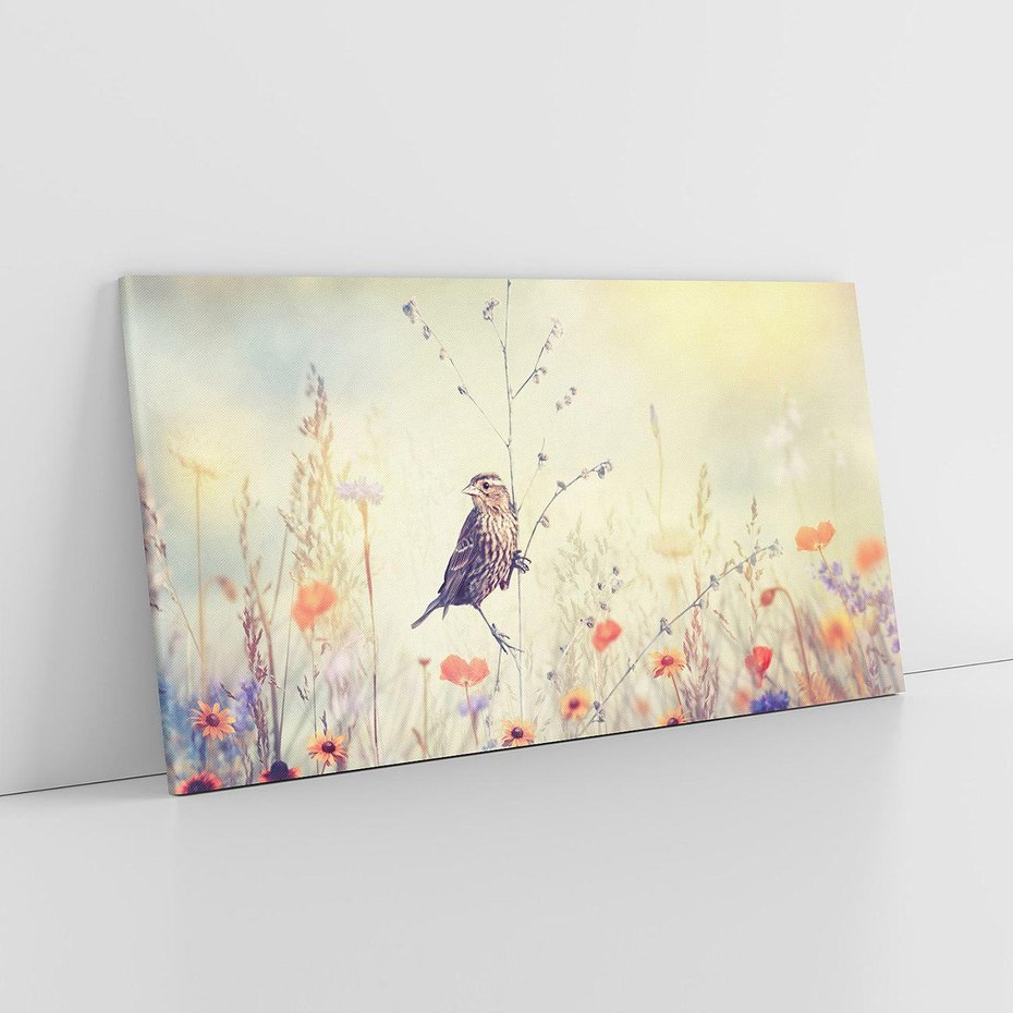 Obraz na płótnie 140x70 - Poranek wśród łąki - ptak, łąka
