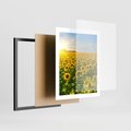 Plakat w ramie 40x50 - Idylla na łące słoneczników - łąka, słoneczniki - rama czarna