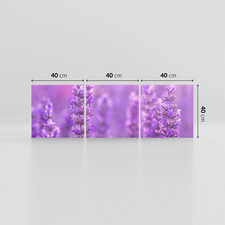 Obraz na płótnie 120x40 - Fioletowa harmonia lawendy - lawenda, fiolet