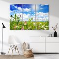 Obraz na płótnie 120x80 - Niebiańska łąka pełna kwiatów - łąka, niebo
