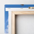Obraz na płótnie 80x80 - Snowboard na zimowych zboczach - snowboard, zima