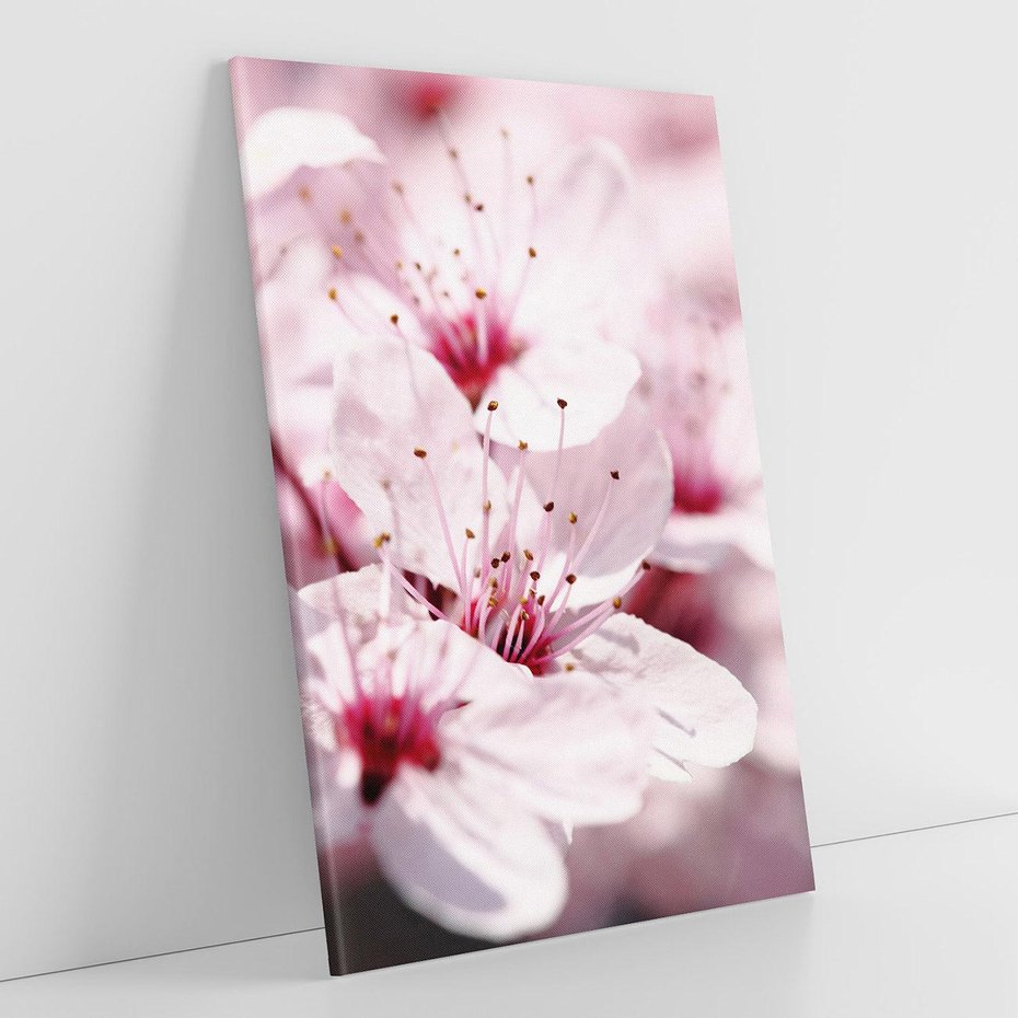 Obraz na płótnie 50x70 - Kwitnąca Wiśnia - kwiaty, kwitnąca