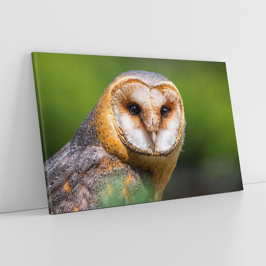 Obraz na płótnie 70x50 - Sowa nocą - sowa, ptak