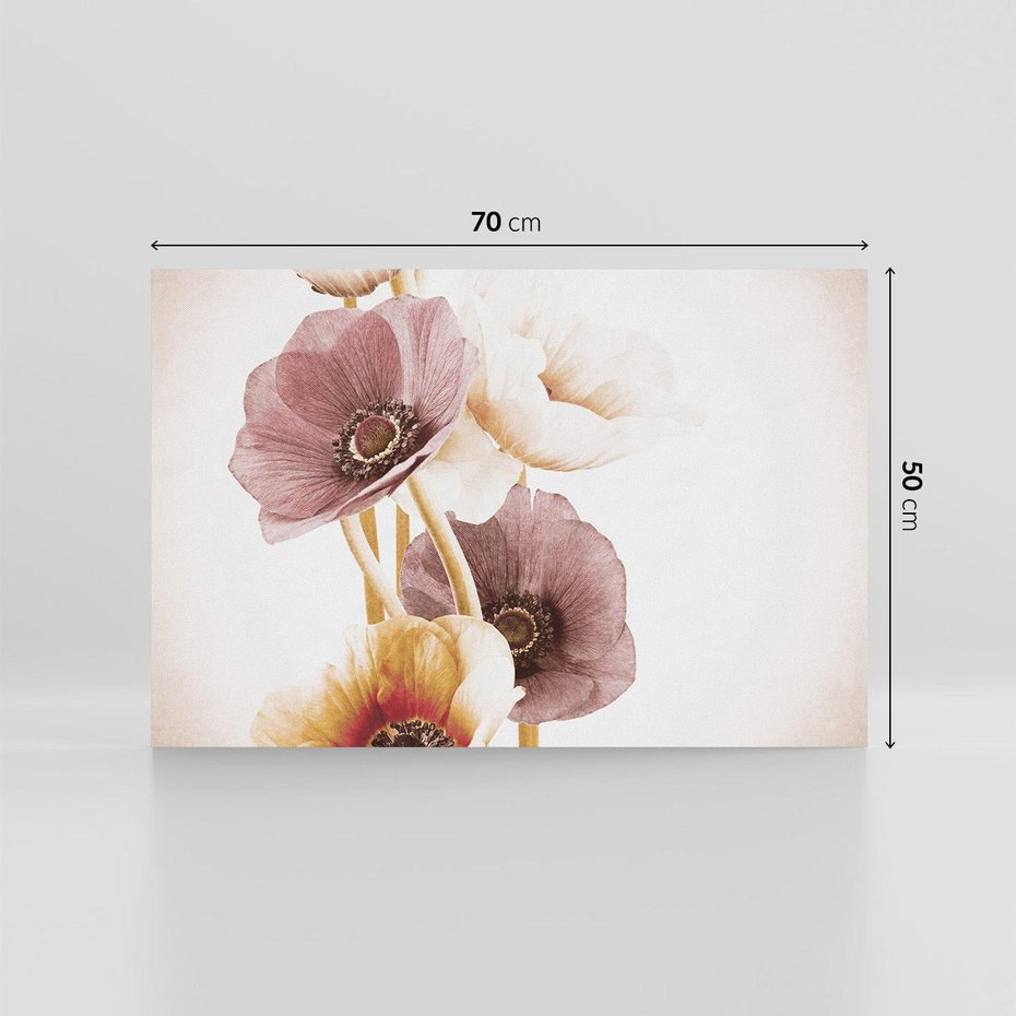 Obraz na płótnie 70x50 - Eksplozja kolorów - akwarela, maki