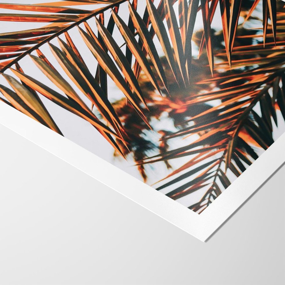 Plakat bez ramy 21x30 - Tropikalna Harmonia - palma, liście palmy