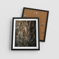 Plakat w ramie 40x50 - Tekstura Drewna: Zbliżenie - zbliżenie na pień drzewa, tekstura - rama czarna