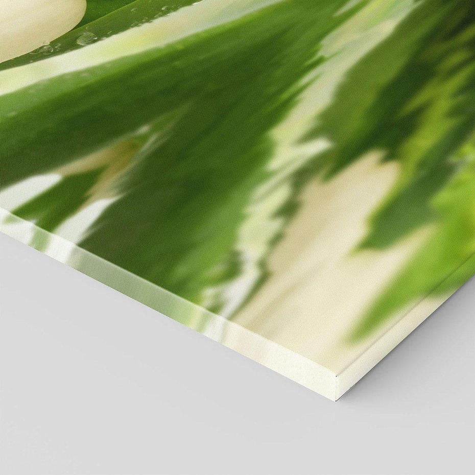 Obraz na płótnie 70x100 - Białe Piękno - białe, tulipany