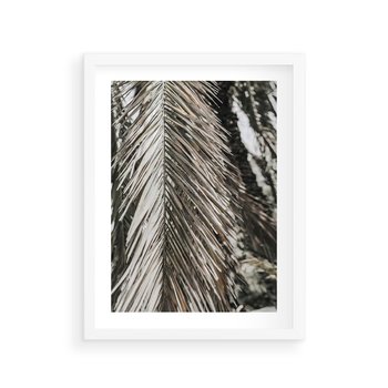 Plakat w ramie 30x40 - Egzotyczne Gałęzie - suche gałęzie, liście palmy - rama biała