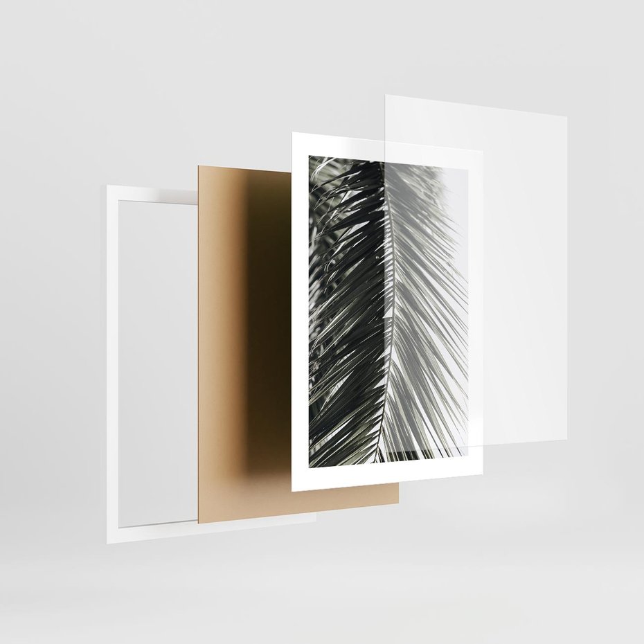 Plakat w ramie 30x40 - Liść Palmy: Egzotyczny Detal Natury - palma, liść palmy - rama biała
